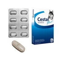 Antiparazitare interne caini - ANTIPARAZITAR INTERN PENTRU CAINI CESTAL PLUS CHEW (CUTIE x 8 tb)