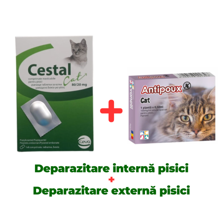 Deparazitare Interna Pisici - Deparazitare internă pisici, Cestal 1 tabletă + Antiparazitar extern pentru pisici Antipoux cat, 1 pipeta