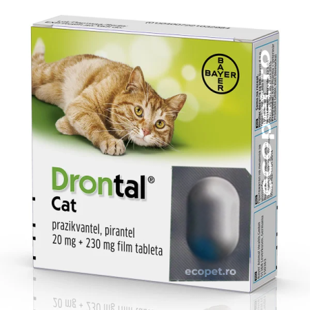 Deparazitare Interna Pisici - Deparazitare internă pisici Drontal 1 tabletă