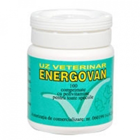 Suplimente si vitamine pisici - VITAMINE CAINI, PISICI, PASARI, ENERGOVAN 100CP