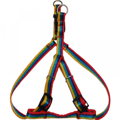 Caini - HAM PENTRU CAINI NYLON MILAN CLICK 35-50CM