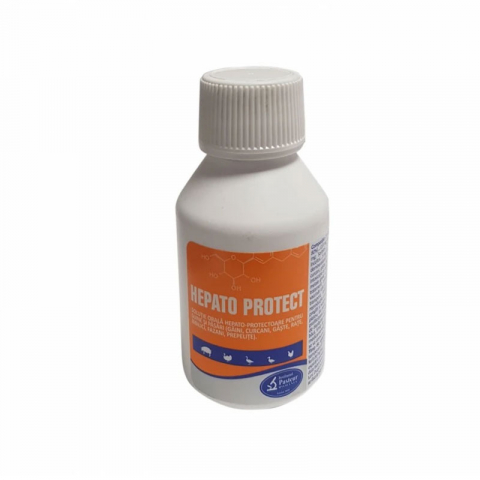 Ferma - Hepato Protect 100 ml