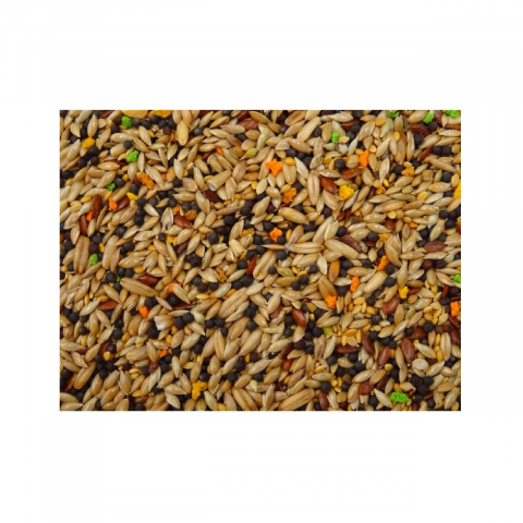 HRANA COMPLETA OLA CANARI 800G [1]