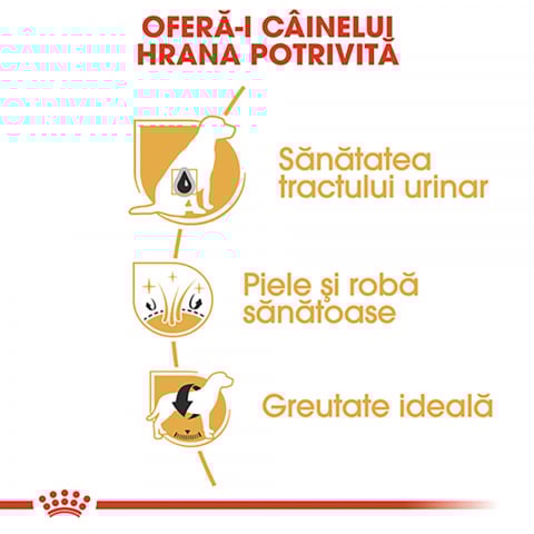 Royal Canin Bichon Frise Adult hrana uscata caine, 1.5 kg [4]