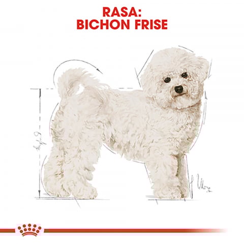 Royal Canin Bichon Frise Adult hrana uscata caine, 1.5 kg [1]