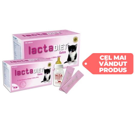 Suplimente și vitamine pisici - Lapte praf pisici kitten 40 plicuri x 7,5g + biberon + 2 tetine