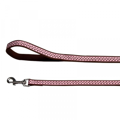 Accesorii caini - LESA PENTRU CAINI NYLON BULINE PINK CLICK 10MM*130CM
