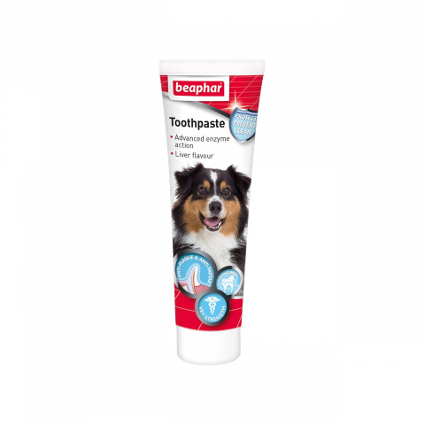 Igiena orala pisici - PASTA DE DINTI PENTRU CAINI SI PISICI TOOTHPASTE LIVER FLAVOUR BEAPHAR 100G
