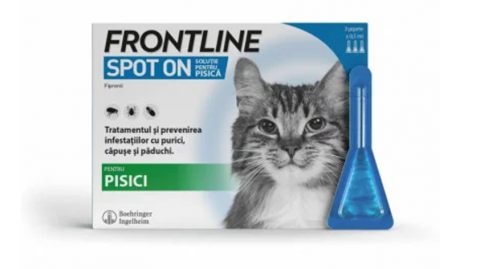 Pisici - Pipeta antiparazitara pentru pisici Frontline ( 1 pipeta )