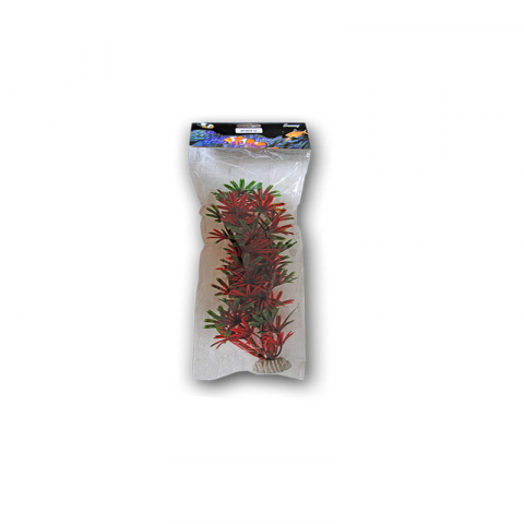 Acvaristica - PLANTE ACVARIU 30CM
