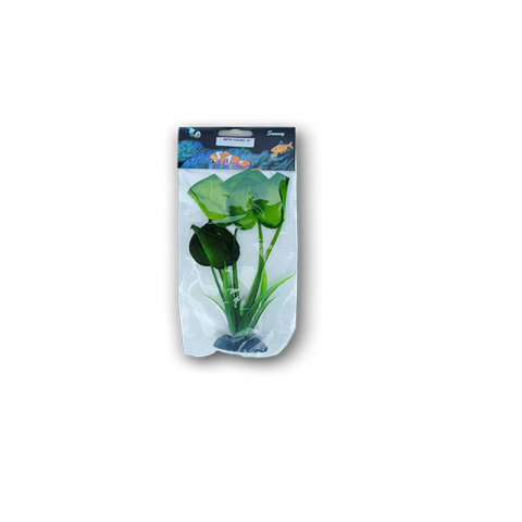 Acvaristica - PLANTE MATASE 20CM