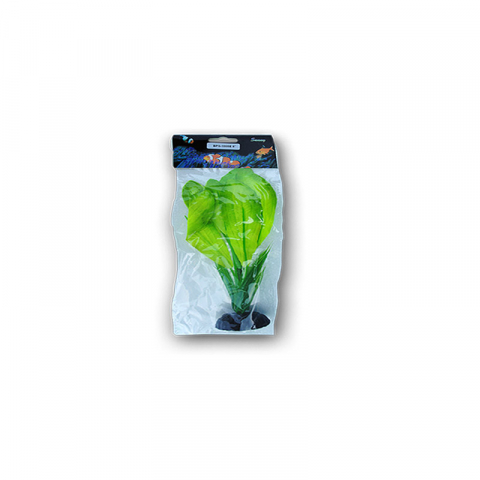 Acvaristica - PLANTE MATASE 20CM