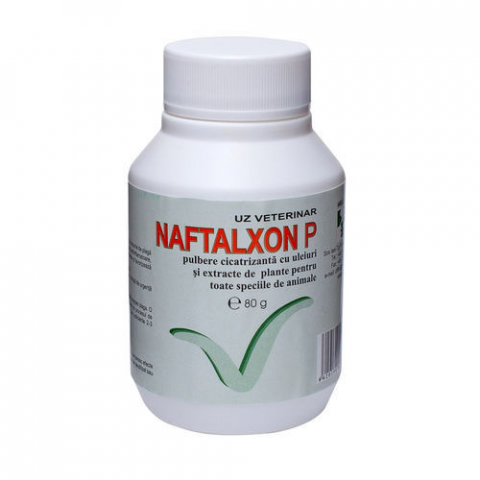 Antiseptice - PULBERE CICATRIZANTA NAFTALXON 80G