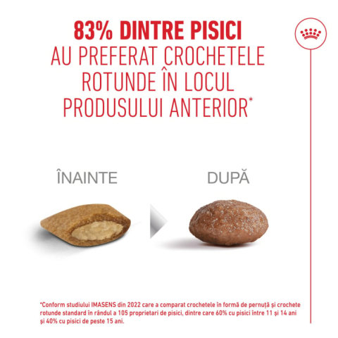 Royal Canin Ageing 12 + hrana uscata pisica senior [2]