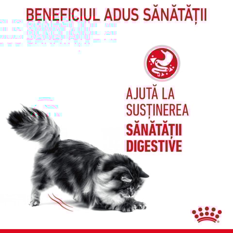 Royal Canin Digest Sensitive Care Adult hrana umeda pisica, confort digestiv (in sos), 85 g [8]