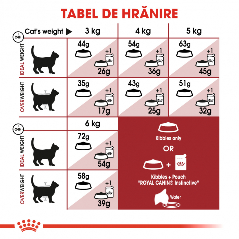 Mostră 100g hrană uscată pentru pisici Royal Canin Fit 32 [5]