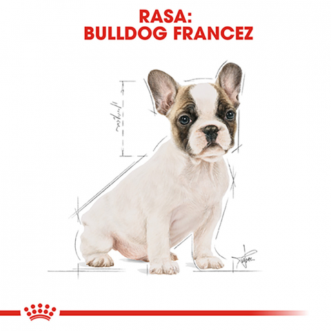 Royal Canin French Bulldog Adult hrana uscata caine, 3 kg [5]