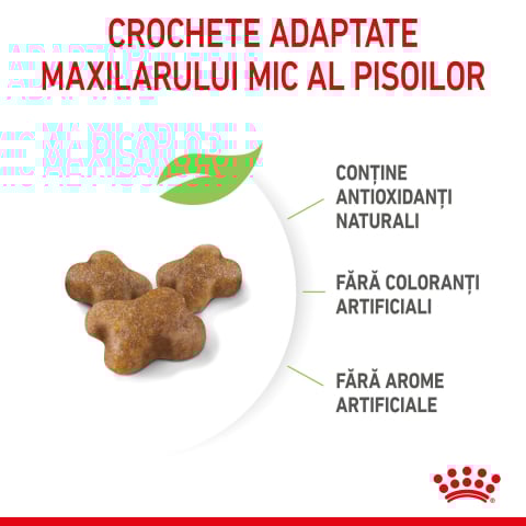 Royal Canin Kitten hrana uscata pisica junior, 10 kg [3]