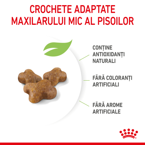 Mostră 100g hrană uscată pentru pisici mici, Royal Canin Kitten [4]