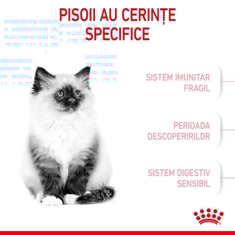 Royal Canin Kitten hrana uscata pisica junior, 10 kg [1]