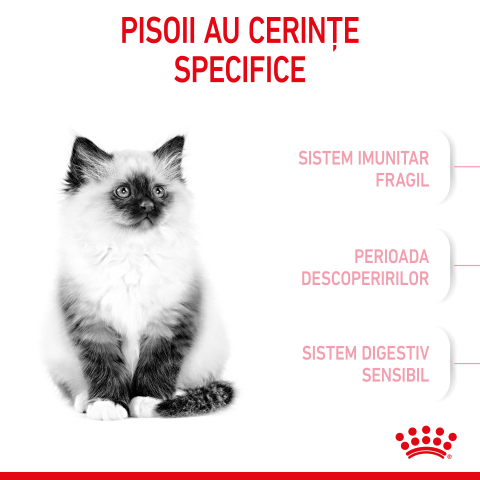Mostră 100g hrană uscată pentru pisici mici, Royal Canin Kitten [2]