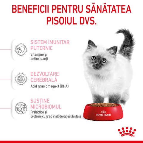 Mostră 100g hrană uscată pentru pisici mici, Royal Canin Kitten [3]