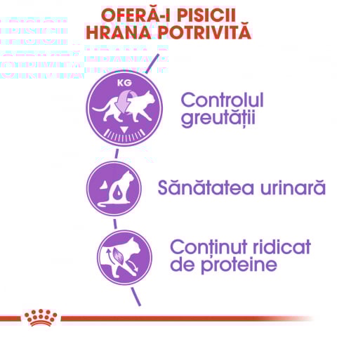 Royal Canin Kitten Sterilised hrana uscata pisica sterilizata junior, 2 kg [3]