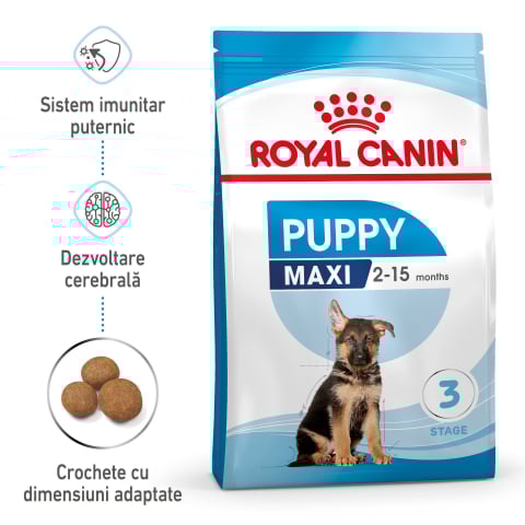 Caine junior - Royal Canin Maxi Puppy hrana uscata caine junior, 4 kg