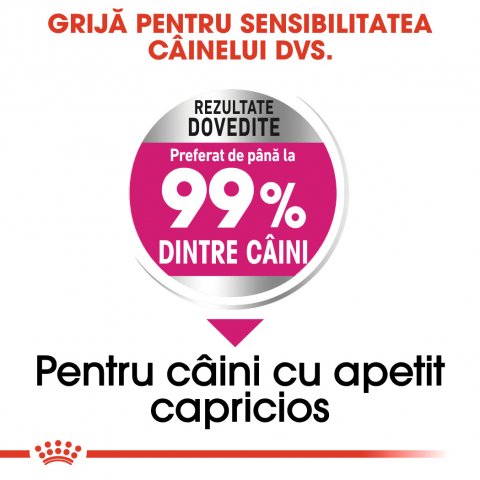 Royal Canin Mini Exigent hrana uscata caine, apetit capricios, catei mofturosi 1 kg [2]