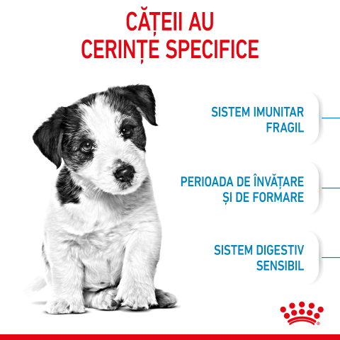 Mostră 100g hrană uscată pentru căței, Royal Canin [2]