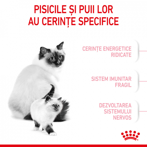 Hrană uscată pentru pui de pisici, Royal Canin Mother & Baby Cat 2 KG [2]