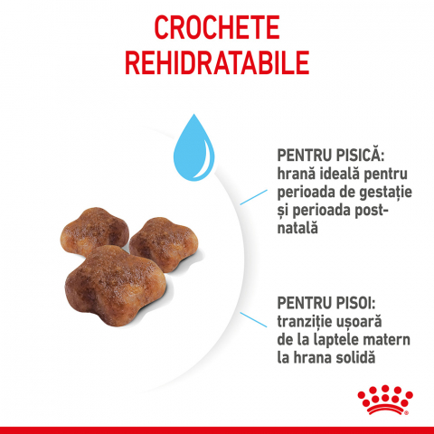 Hrană uscată pentru pui de pisici, Royal Canin Mother & Baby Cat 2 KG [4]