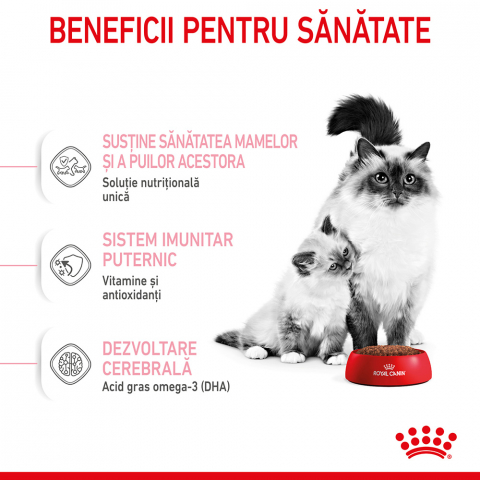 Hrană uscată pentru pui de pisici, Royal Canin Mother & Baby Cat 2 KG [3]
