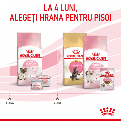 Hrană uscată pentru pui de pisici, Royal Canin Mother & Baby Cat 2 KG [1]