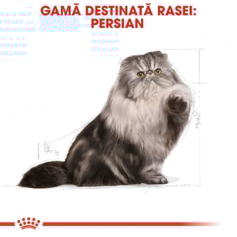 Royal Canin Persian Adult hrana uscata pisica, 400 g [1]
