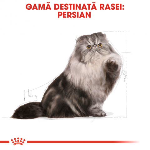 Hrană uscată pentru pisici Royal Canin Persian Adult 2 KG [1]