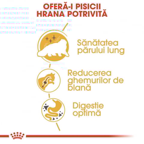 Royal Canin Persian Adult hrana uscata pisica, 400 g [3]