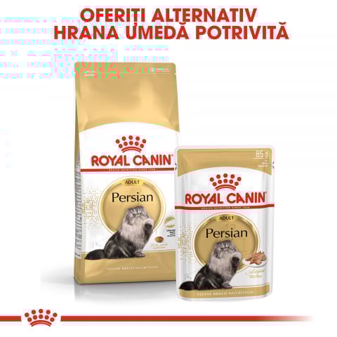 Royal Canin Persian Adult hrana uscata pisica, 400 g [4]