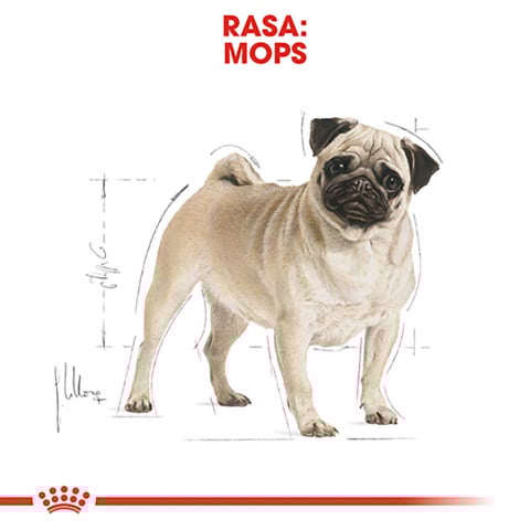 Royal Canin Pug Adult hrana uscata caine, 1.5 kg [2]