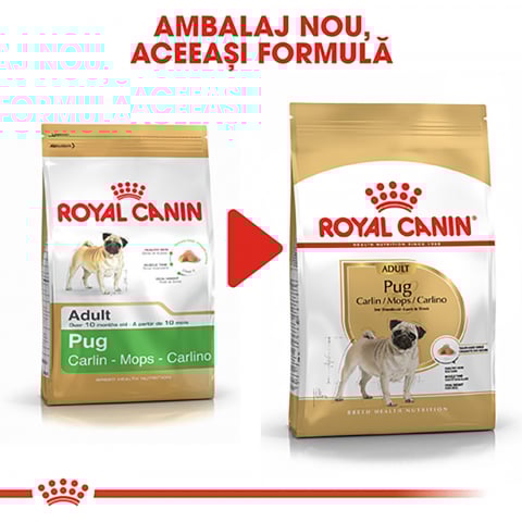 Royal Canin Pug Adult hrana uscata caine, 1.5 kg [5]