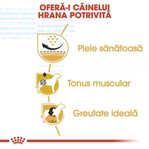 Royal Canin Pug Adult hrana uscata caine, 1.5 kg [4]