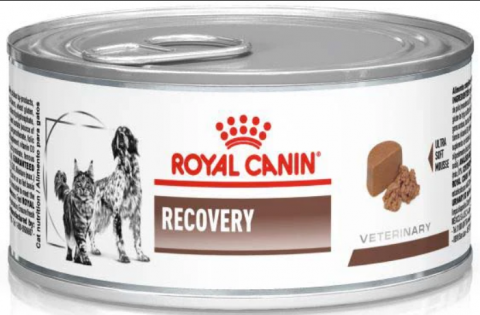 Conserve caini - ROYAL CANIN Recovery Conservă pentru câini şi pisici 195g