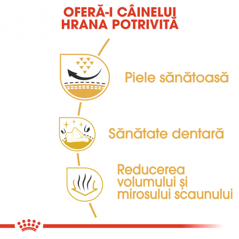 Royal Canin Shih Tzu Adult hrana uscata caine, 1.5 kg [4]