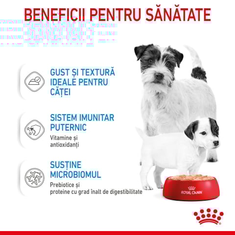 Royal Canin Starter Mousse, mama si puiul, hrana umeda caine (textura spumoasa), 195 g [2]