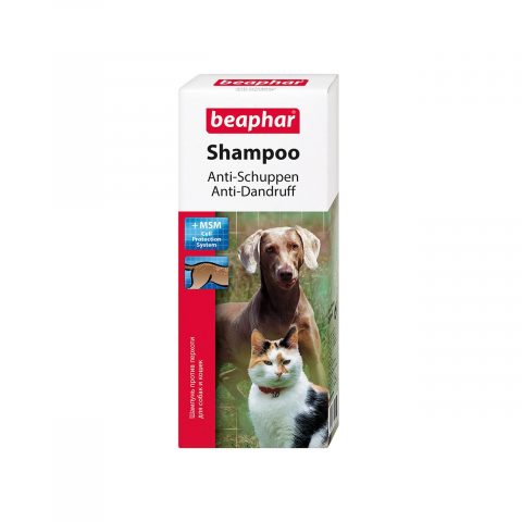Sampoane pisici - SAMPON PENTRU CAINI SI PISICI BEAPHAR ANTI-MATREATA 200ML