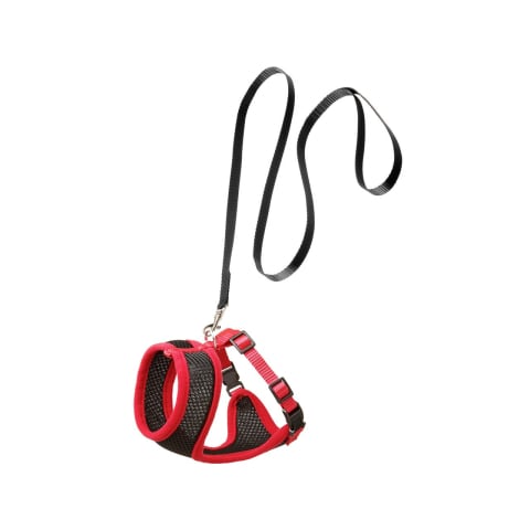 Pisici - Set ham + plasă + lesă pentru pisici negru/roșu 108x1 cm