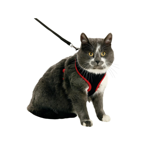 Set ham + plasă + lesă pentru pisici negru/roșu 108x1 cm [1]