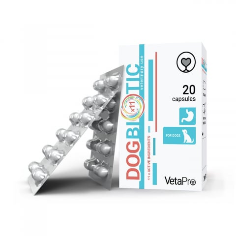 Afectiuni digestive caini - VETAPRO DOGBIOTIC 20CAPS/CUT SUPORT DIGESTIV, PREBIOTICE CAINI