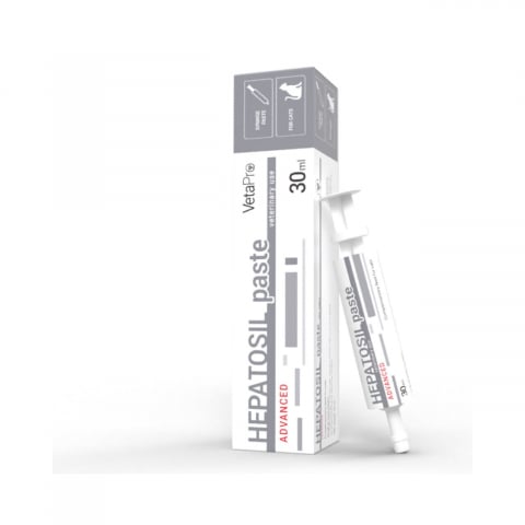 Afectiuni hepatice pisici - VETAPRO HEPATOSIL ADVANCED PASTE SERINGA 30ML SUPORT HEPATIC PISICI