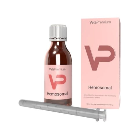 Farmacie veterinara - VETAPRO LIPO HEMOSOMAL SUPLIMENT ANEMIE CAINI SI PISICI 120ML